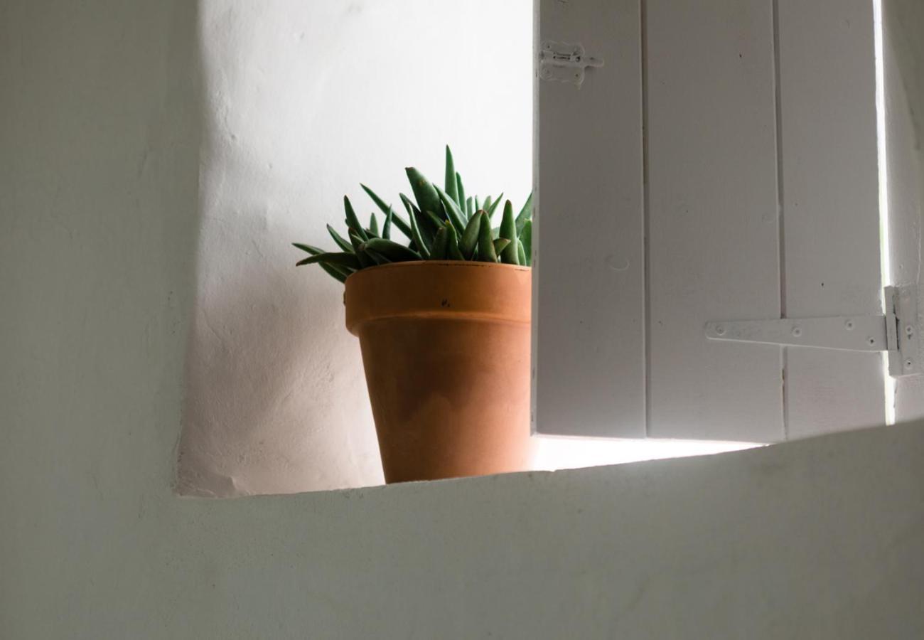 Casa De Los Cuadros Villaluenga Del Rosario Habitación foto